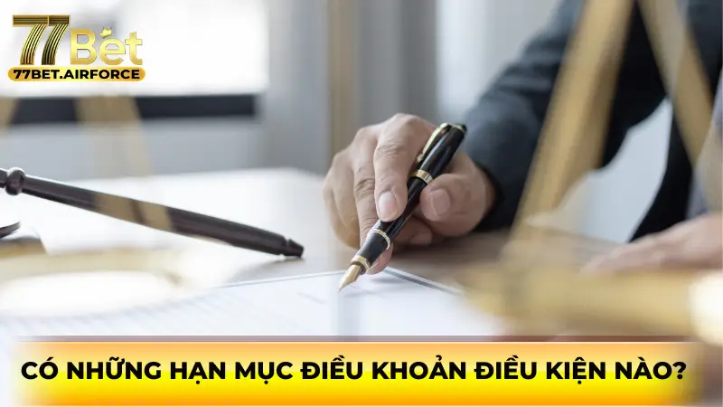 Có những hạn mục Điều khoản điều kiện nào?